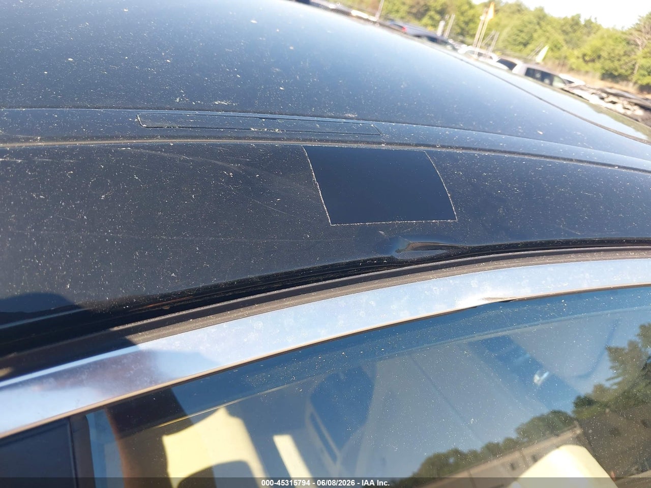 Image 15