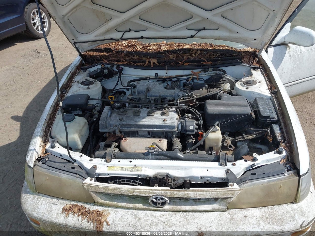 1997 TOYOTA COROLLA DX thumbnail 11