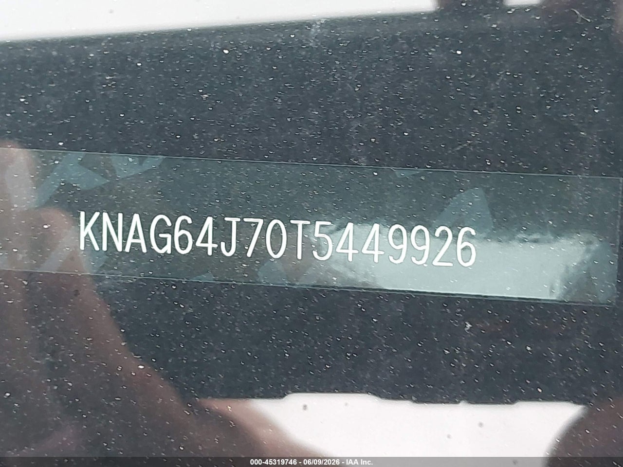 Image 9