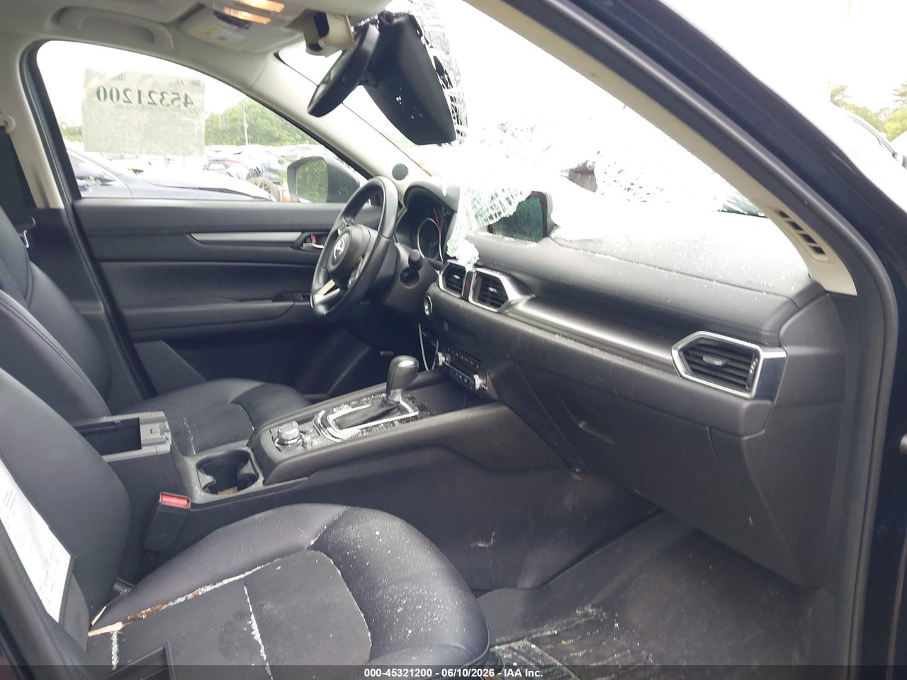Image 5