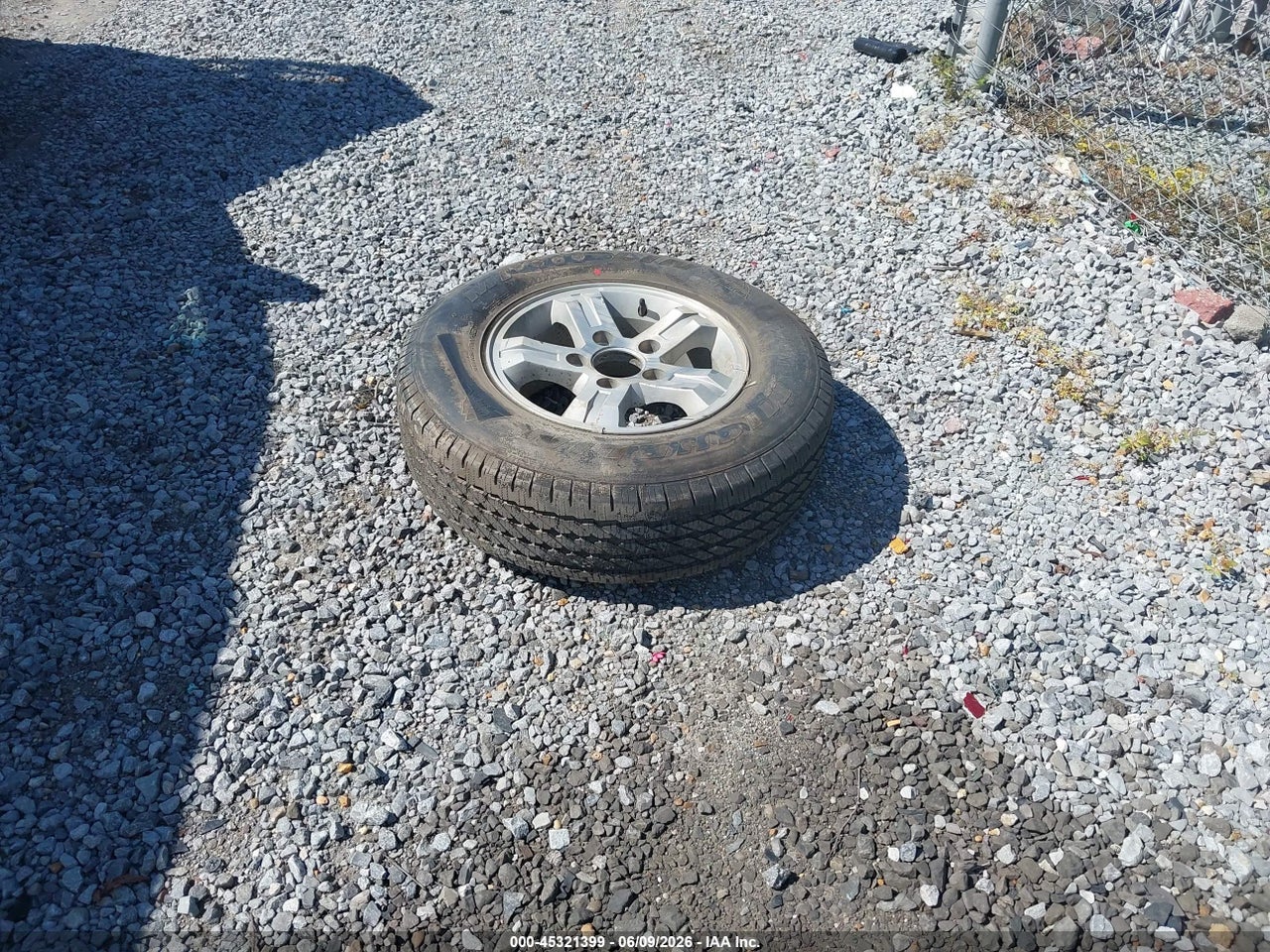 Image 11