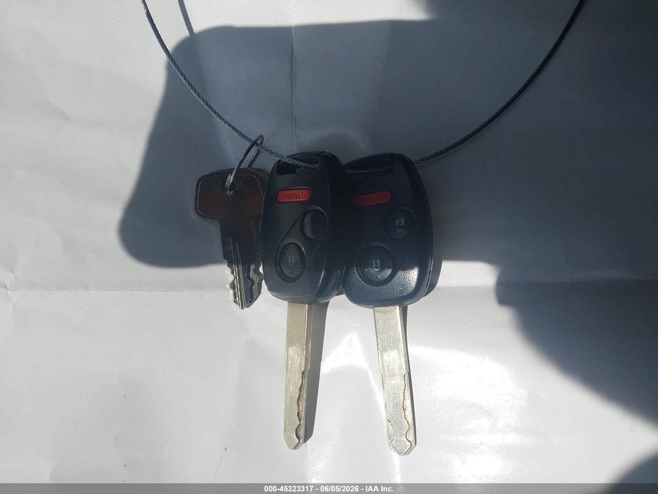 Image 11