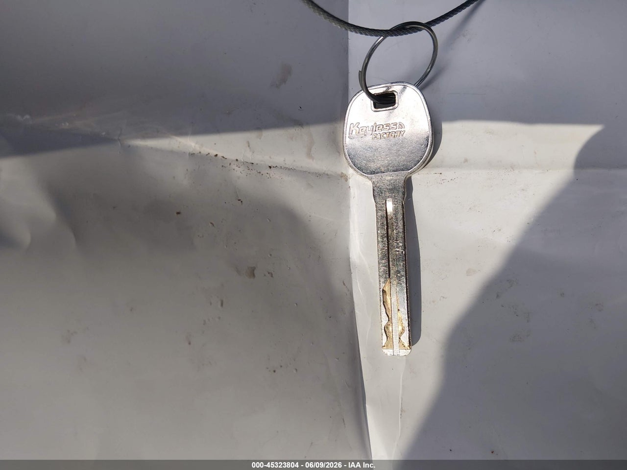 Image 11