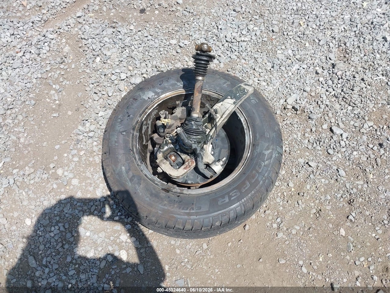 Image 12