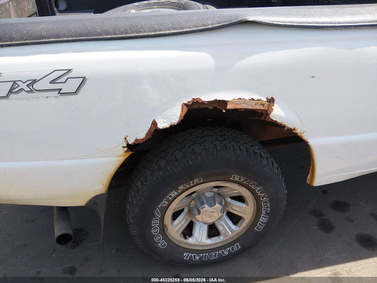 Image 19