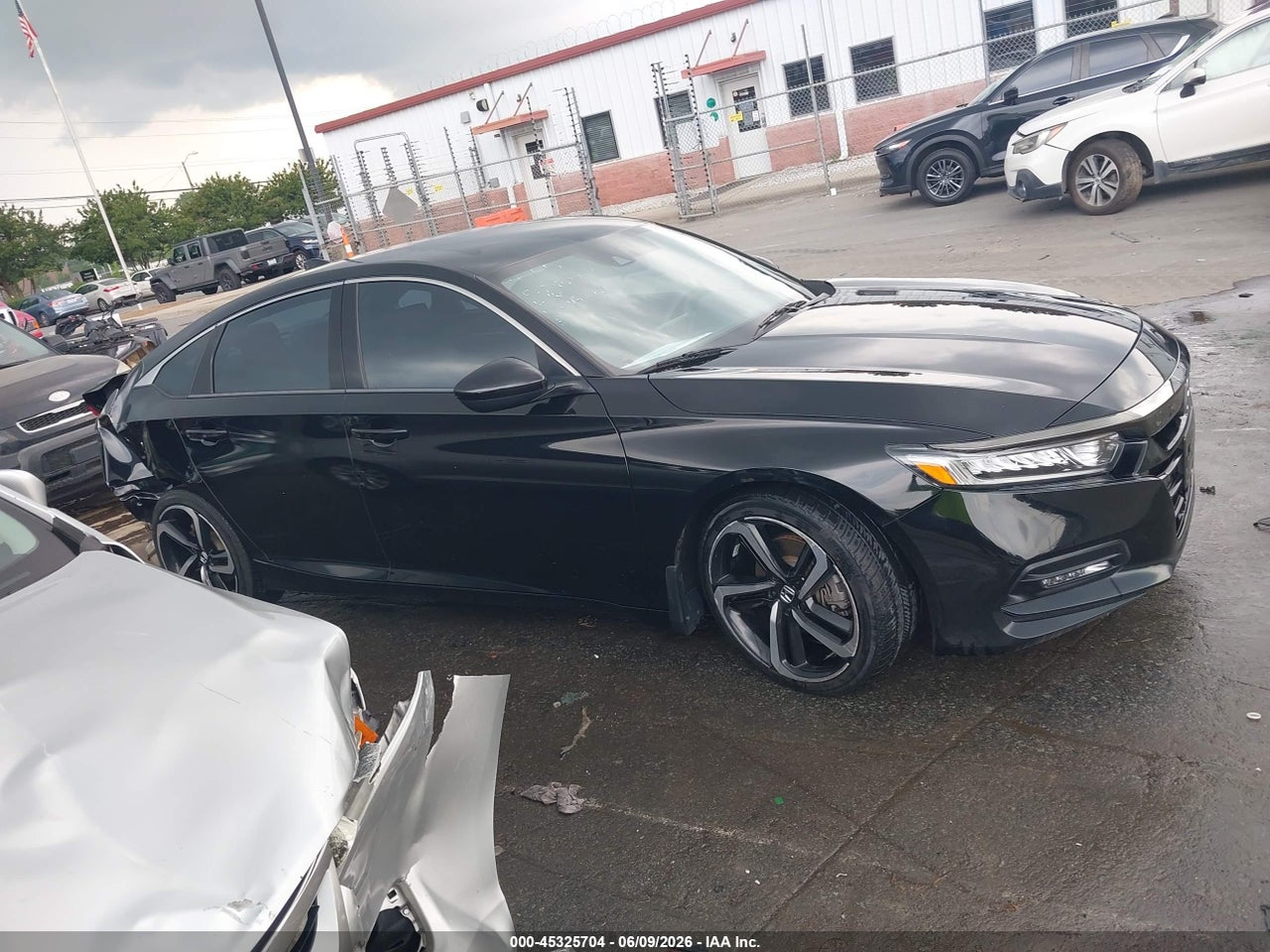 Image 13