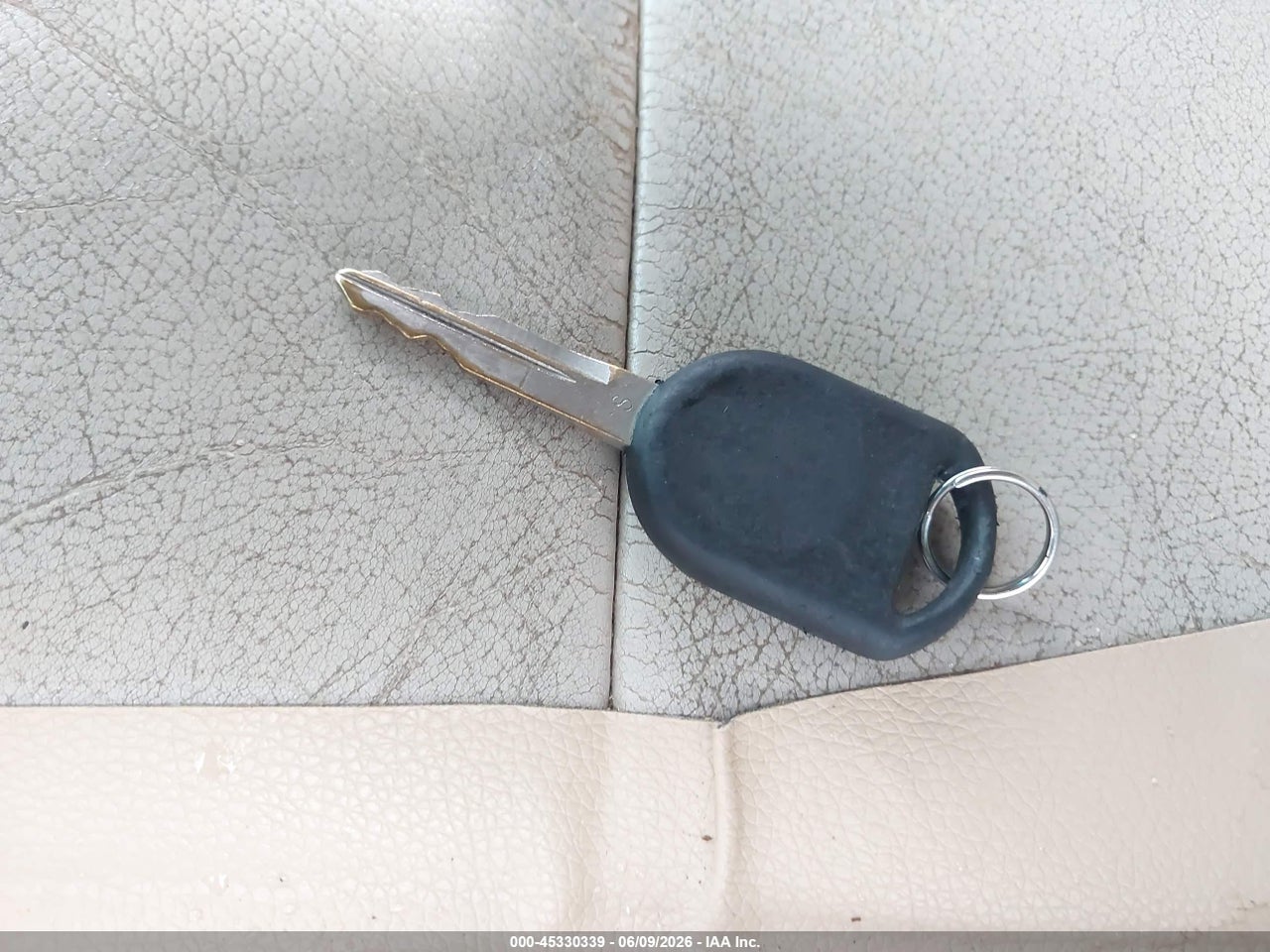 Image 11