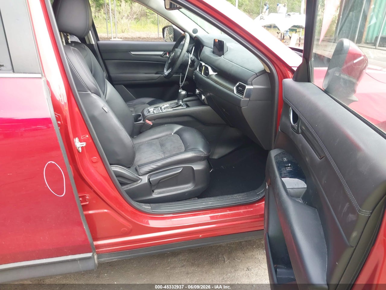 Image 5