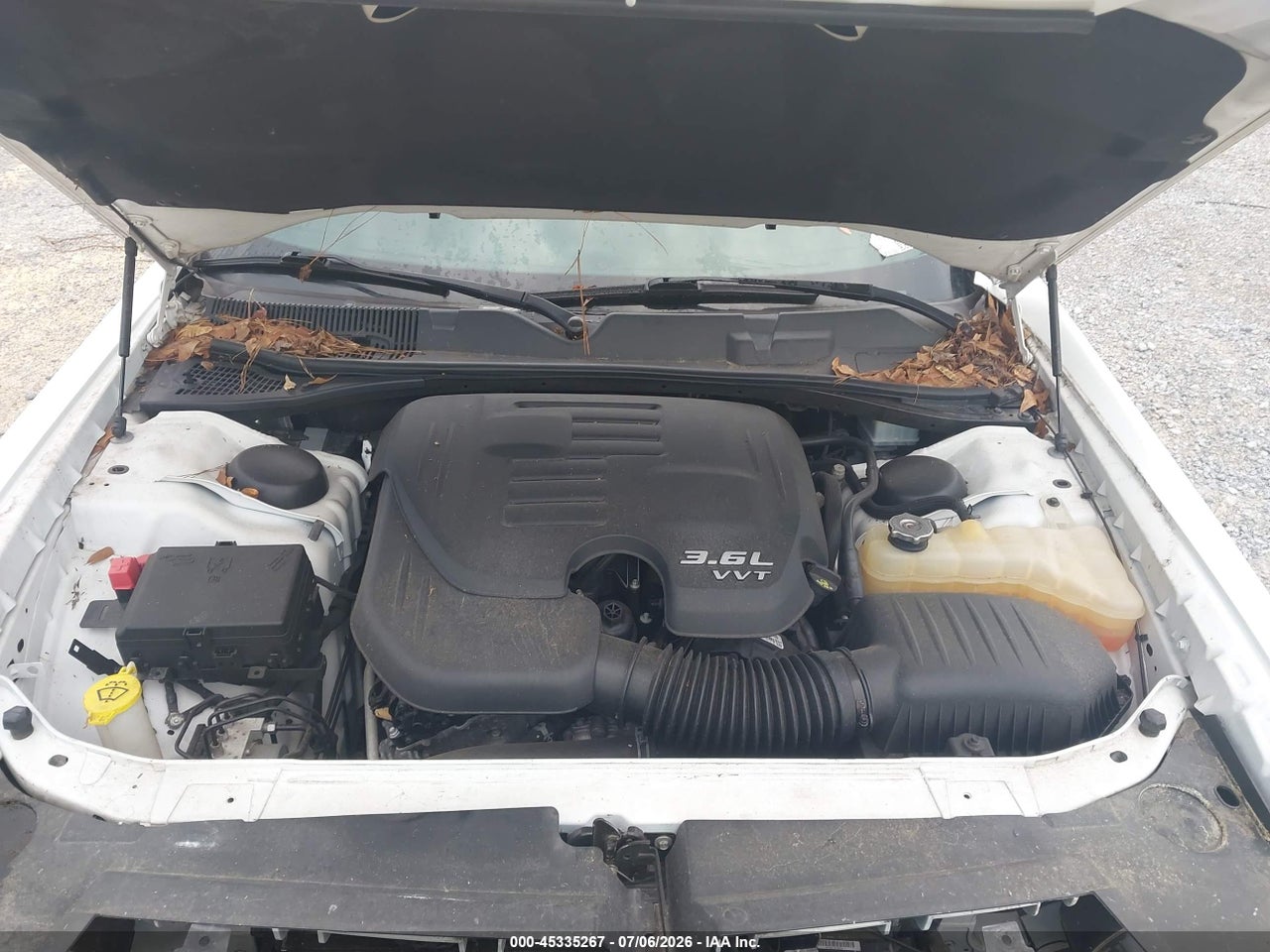 Image 10