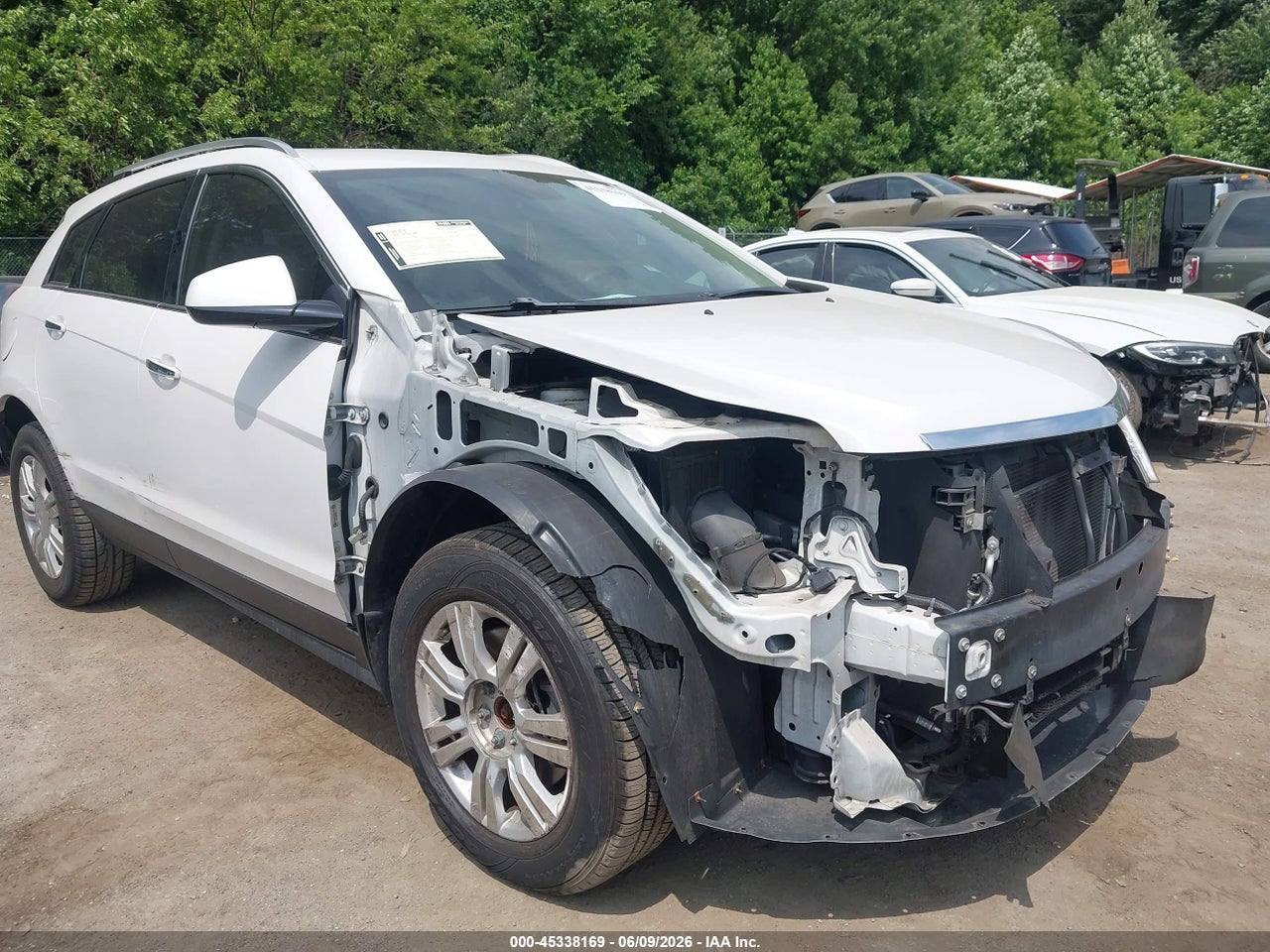 Image 6