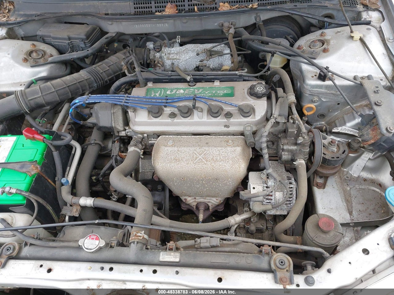 Image 10