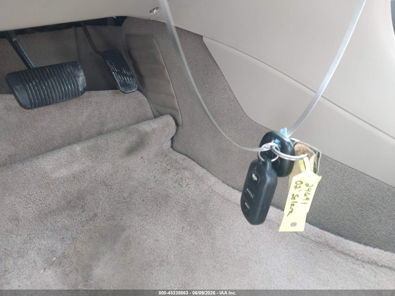 Image 11