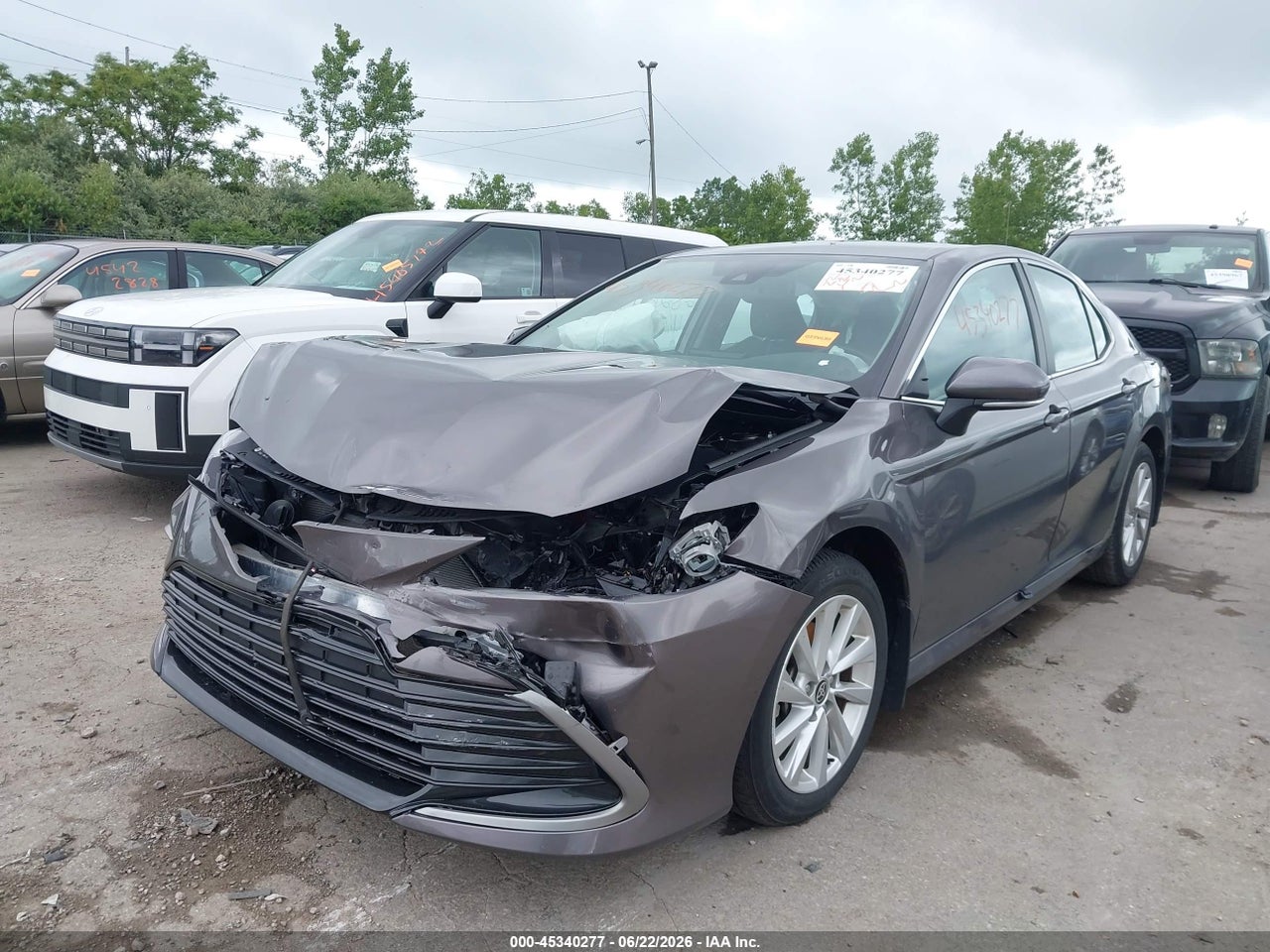 Image 2