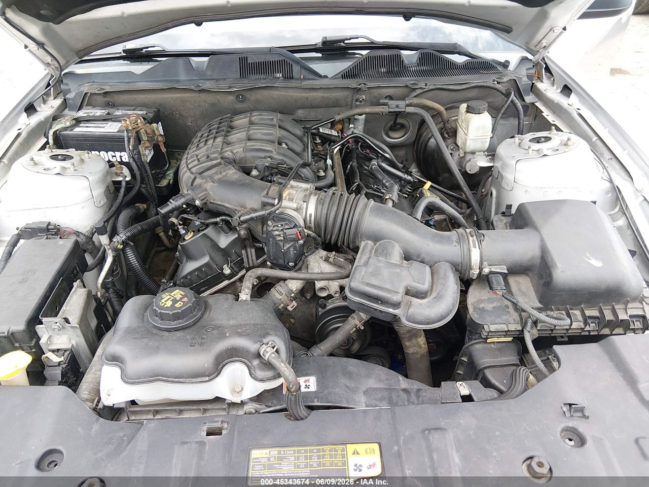 2014 FORD MUSTANG V6 thumbnail 11