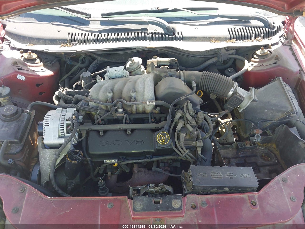 Image 10