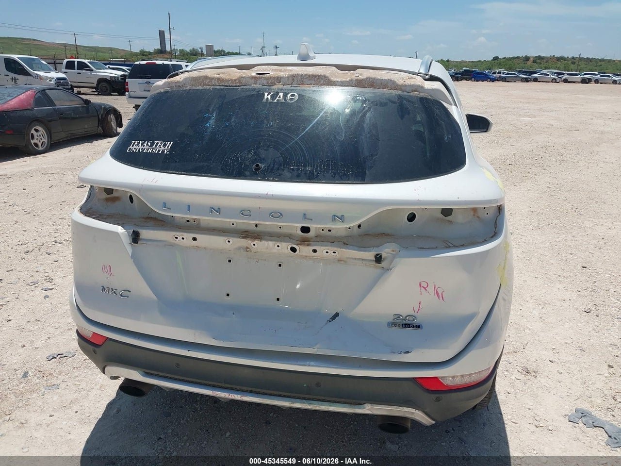 Image 6