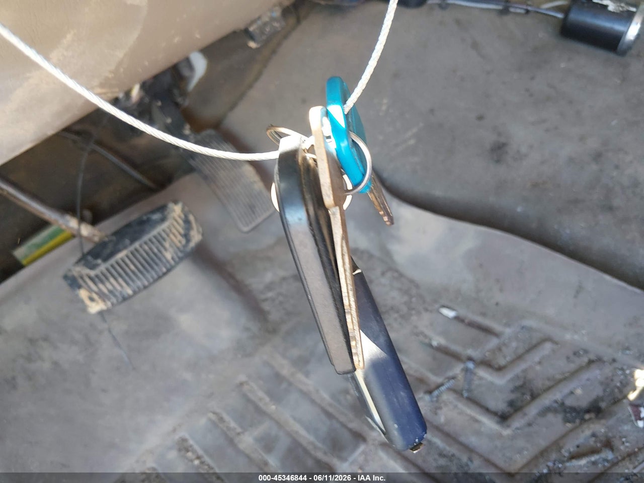 Image 11