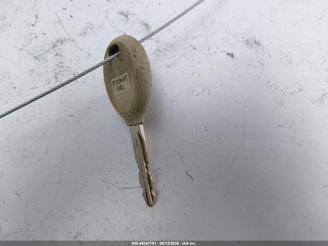Image 11