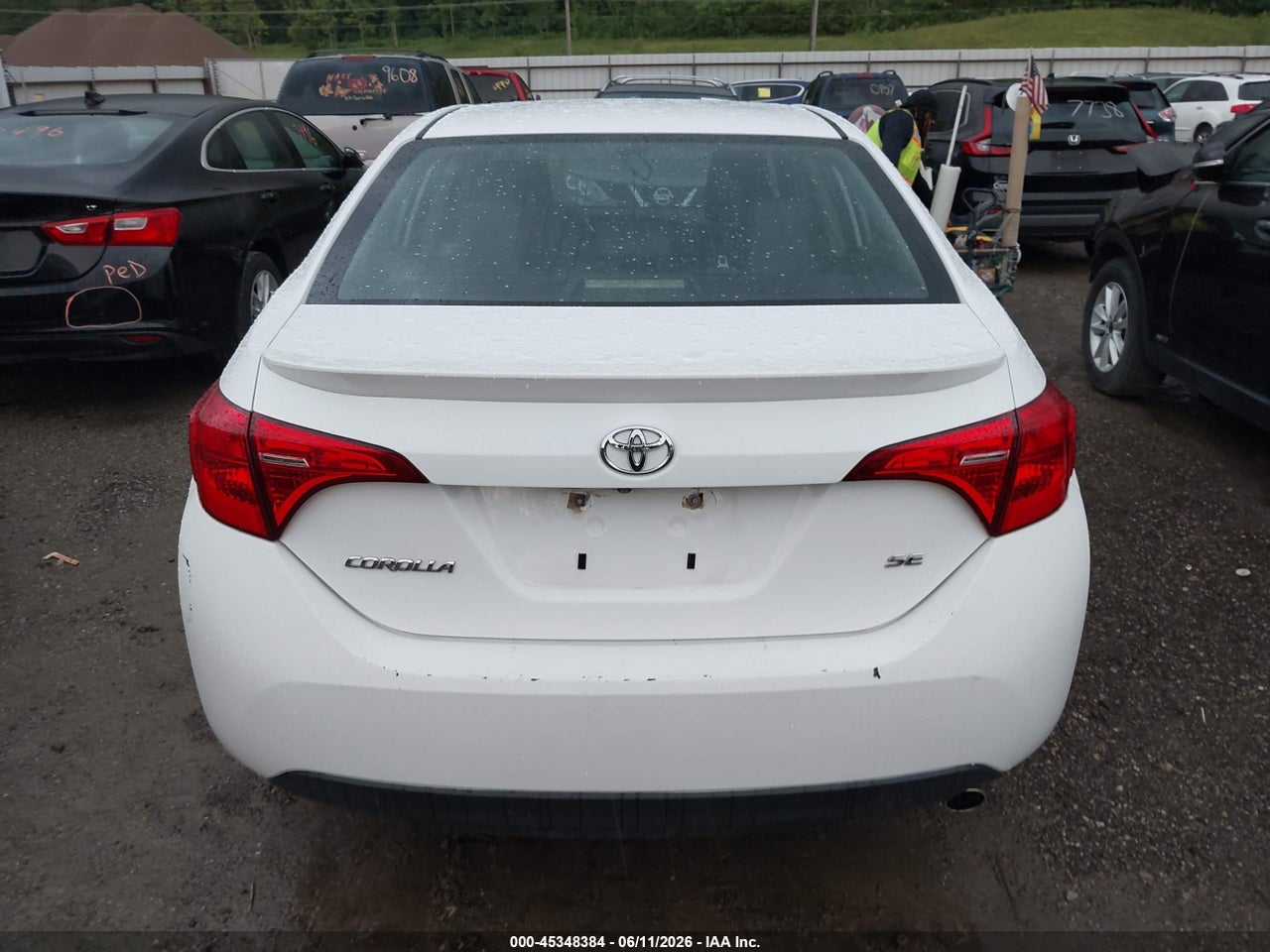Image 16
