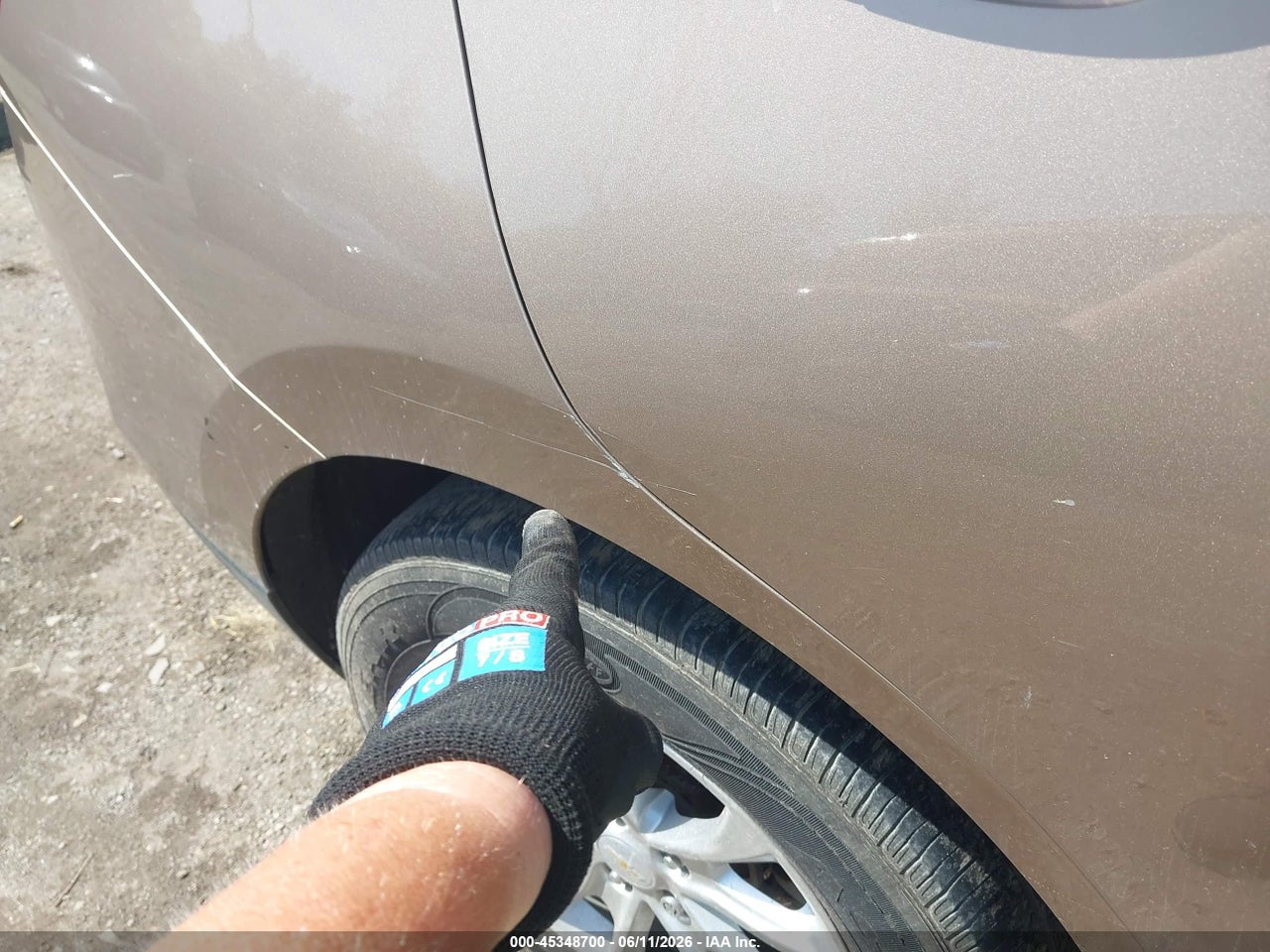Image 15