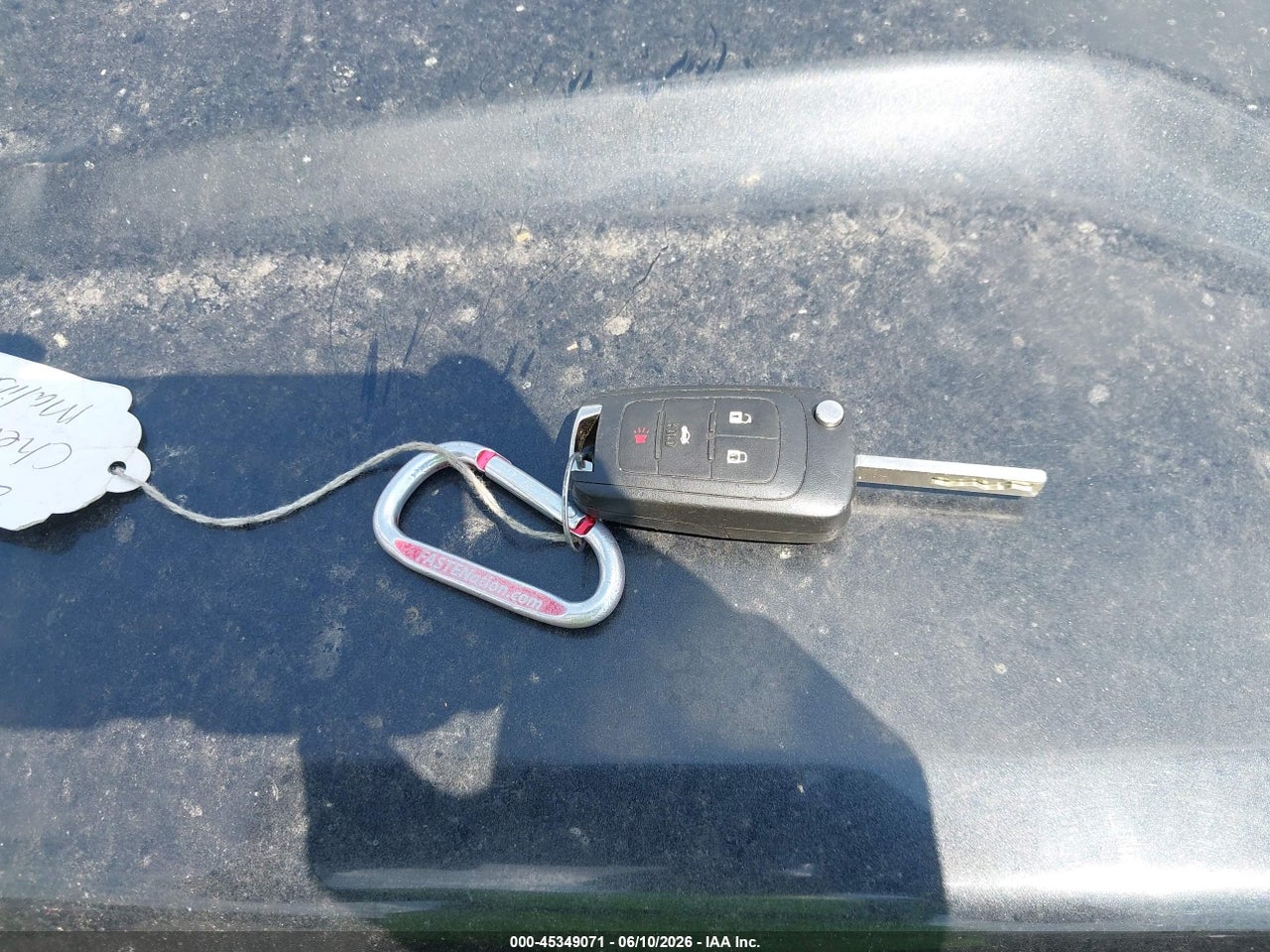 Image 11