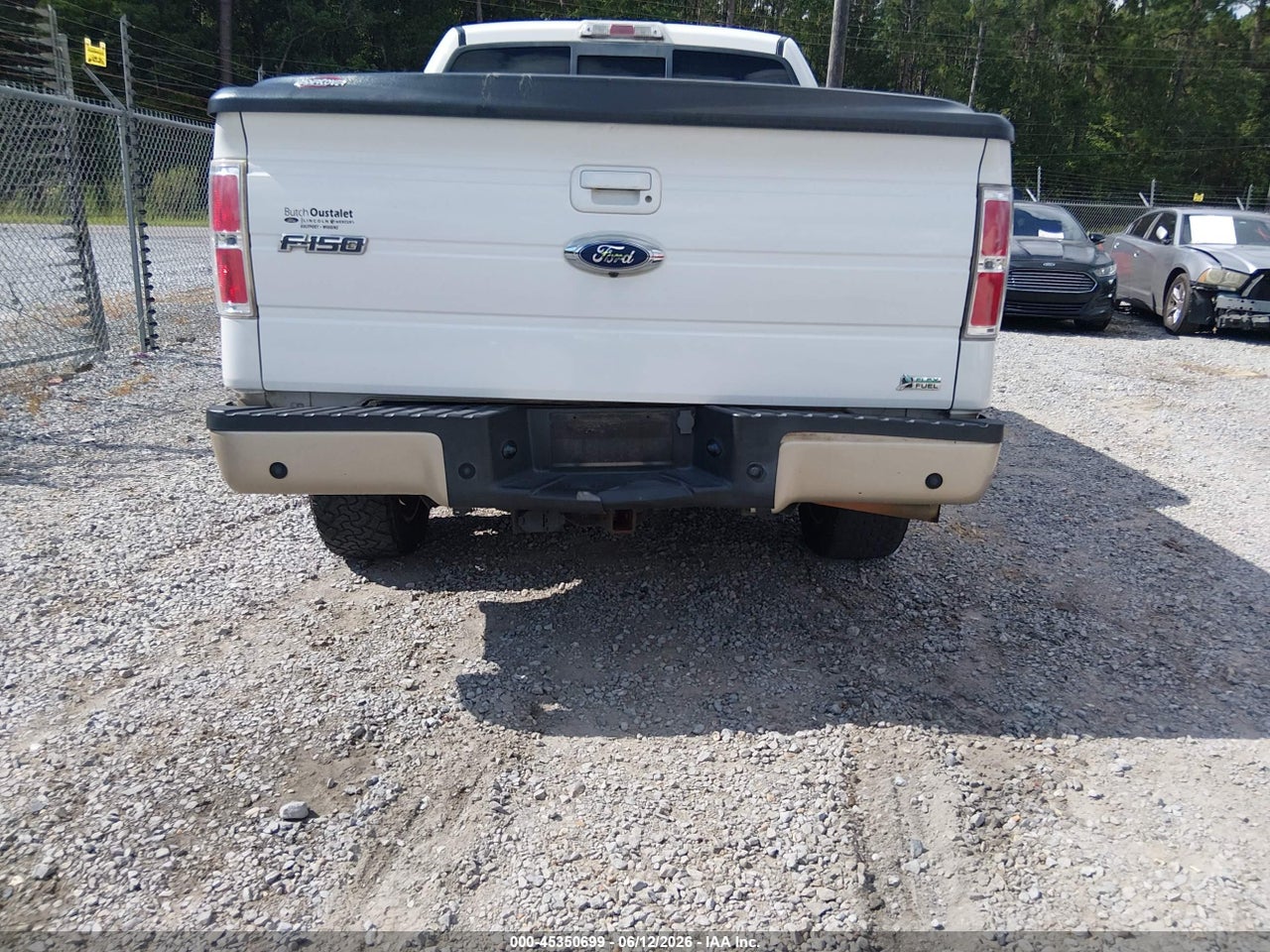 Image 6
