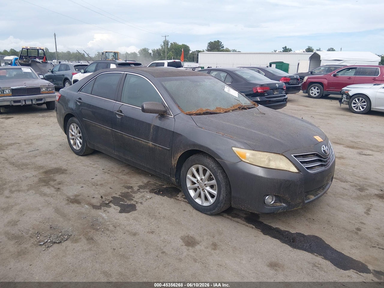 2010 TOYOTA CAMRY XLE V6 thumbnail 2