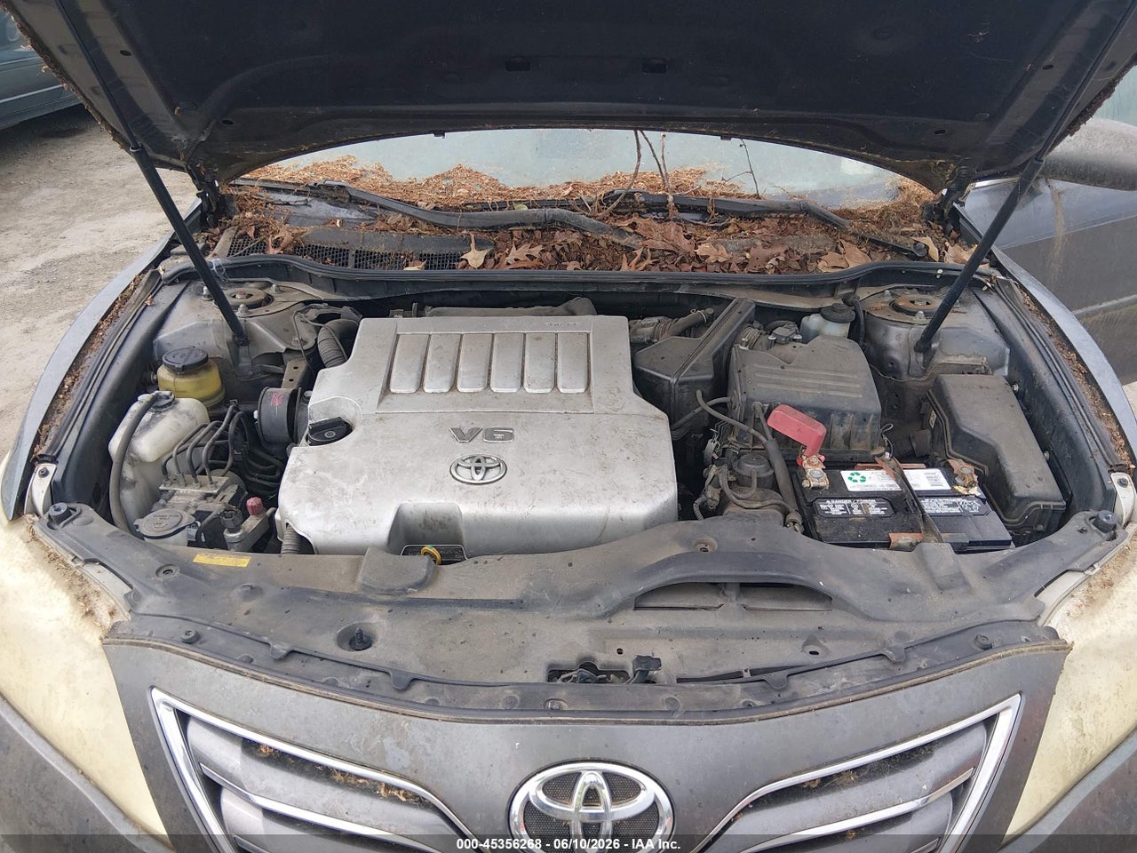 2010 TOYOTA CAMRY XLE V6 thumbnail 11