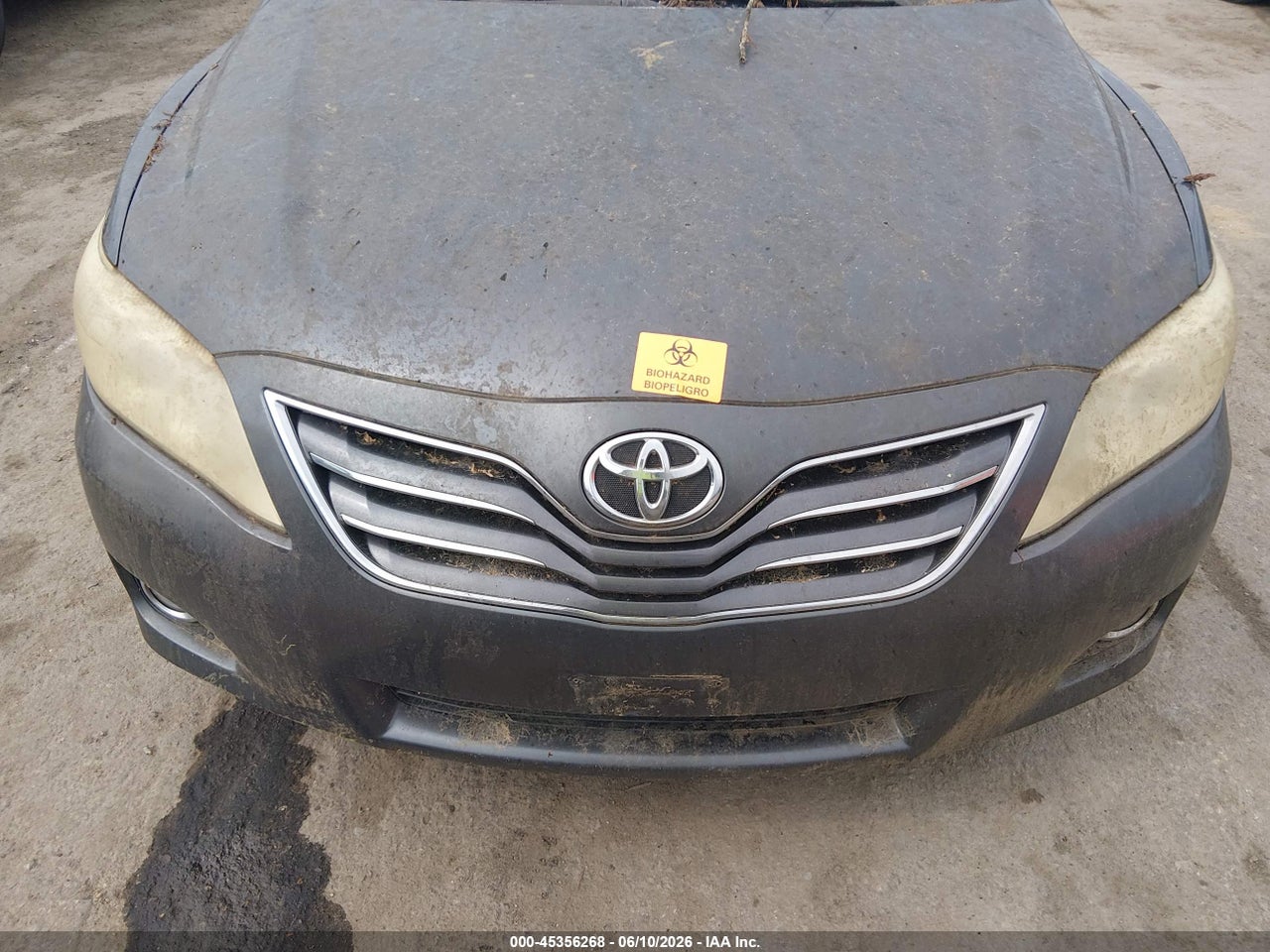 2010 TOYOTA CAMRY XLE V6 thumbnail 7