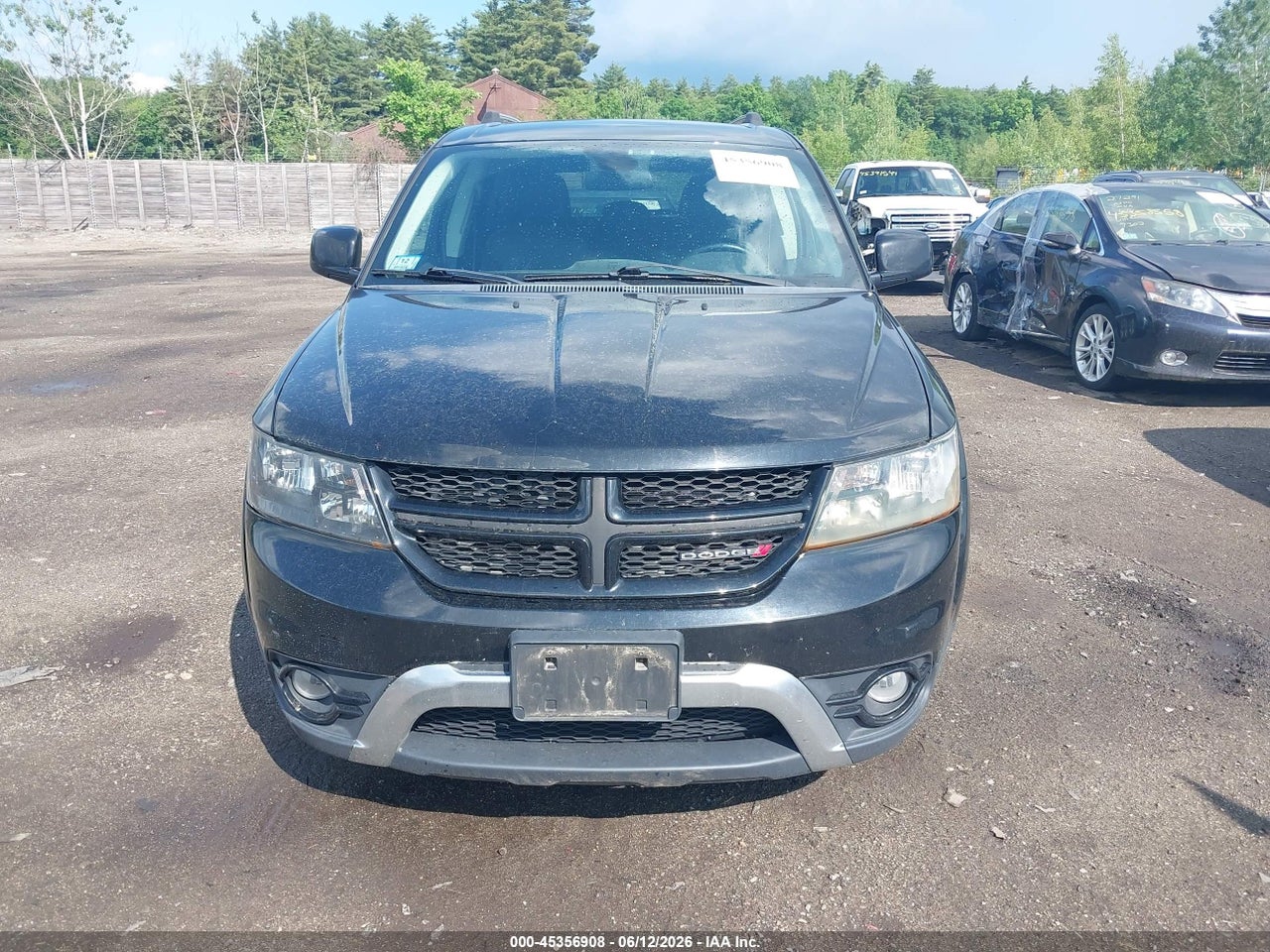 Image 12