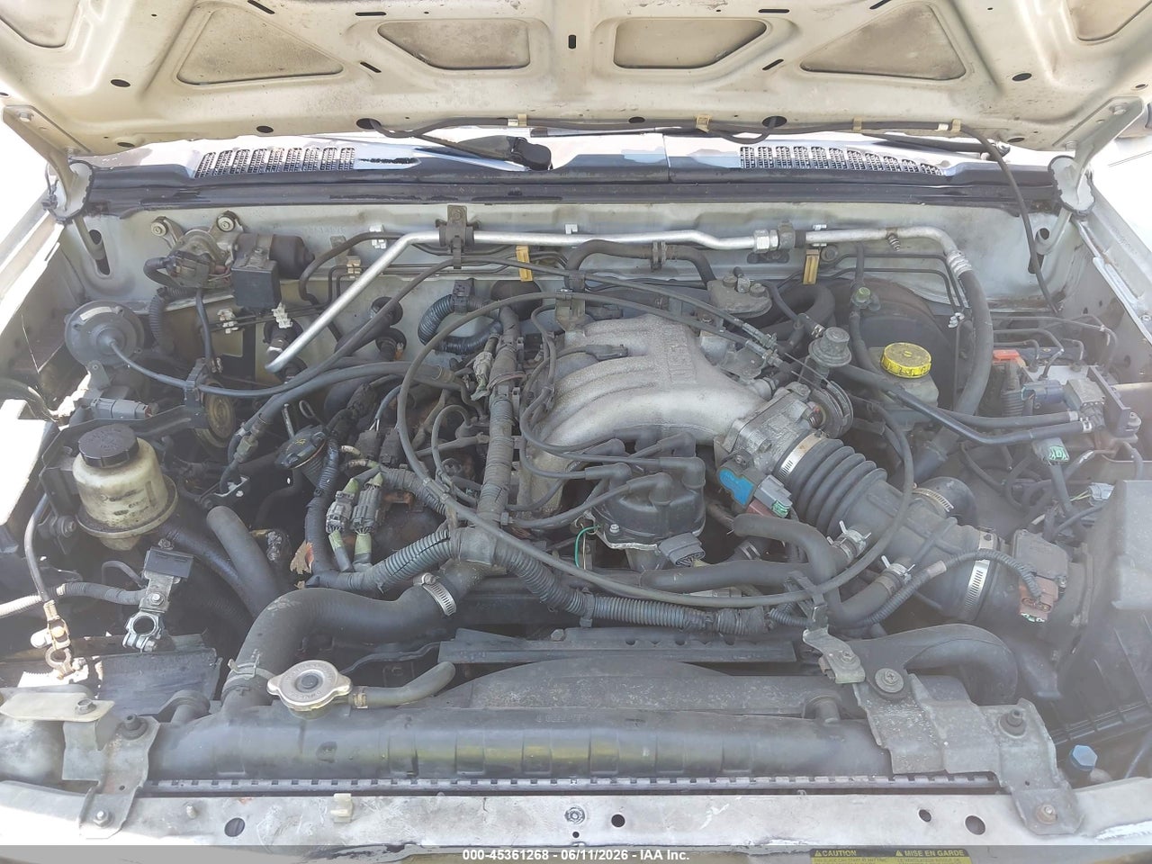 Image 10