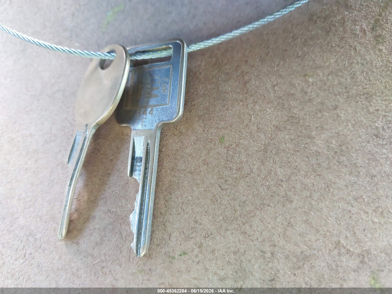 Image 11