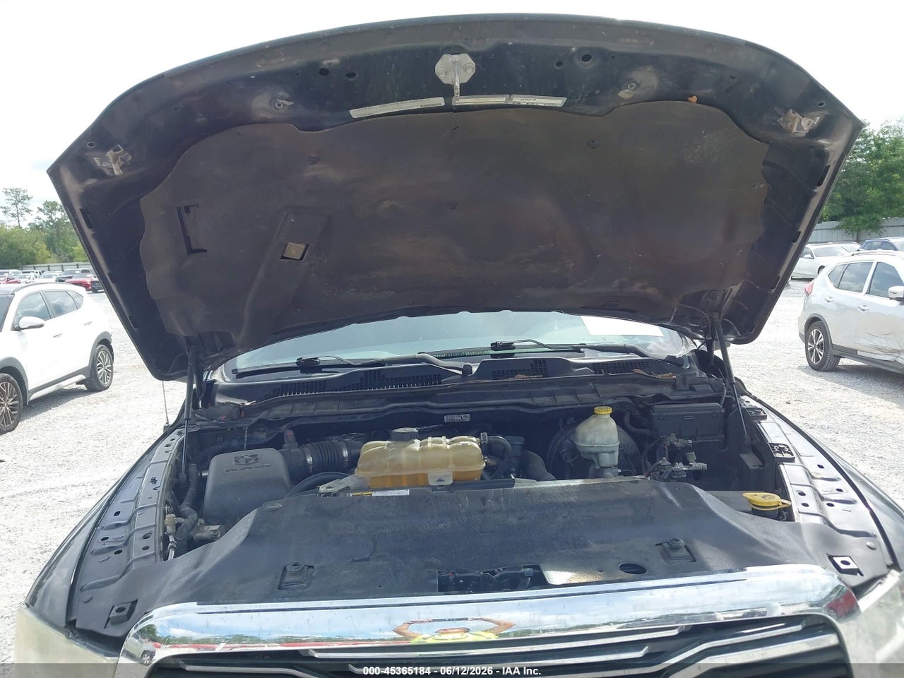 Image 10