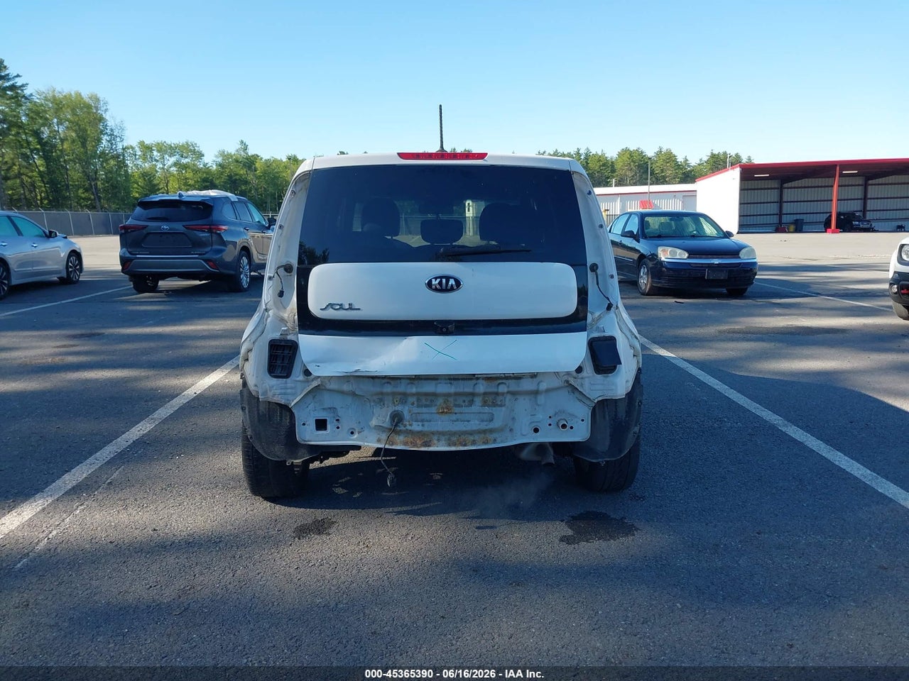 Image 6