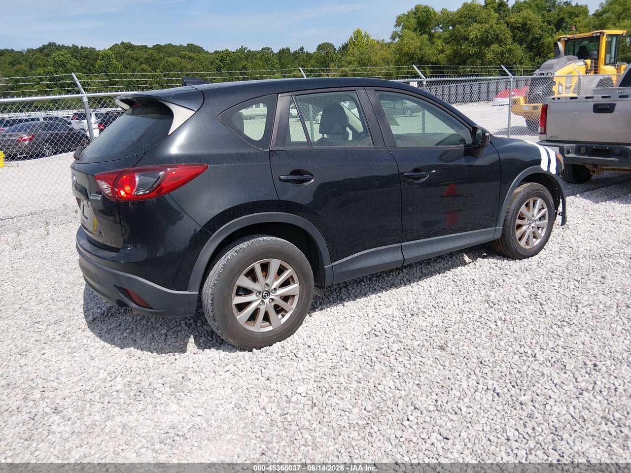 Image 4