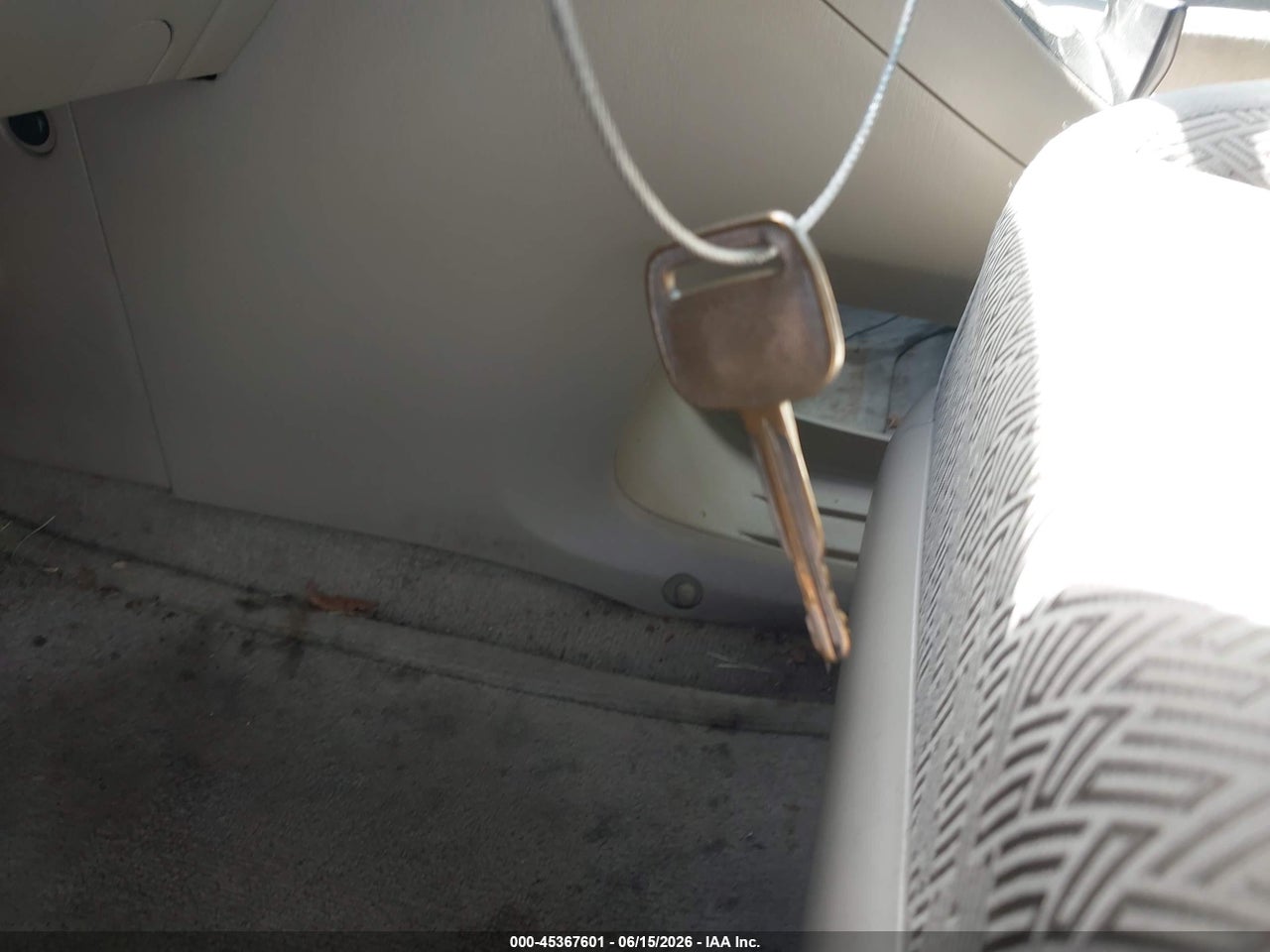 Image 11