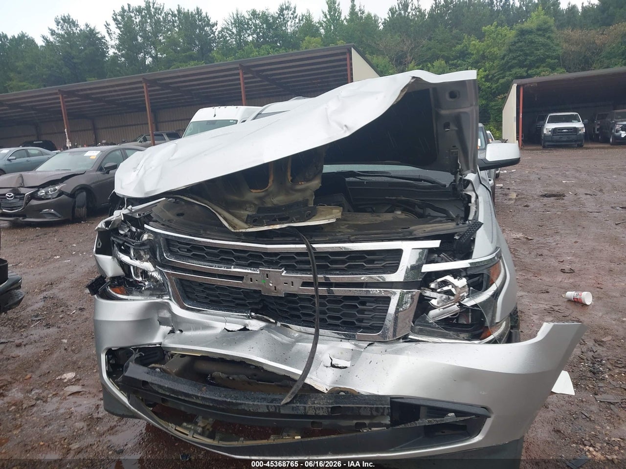 Image 12