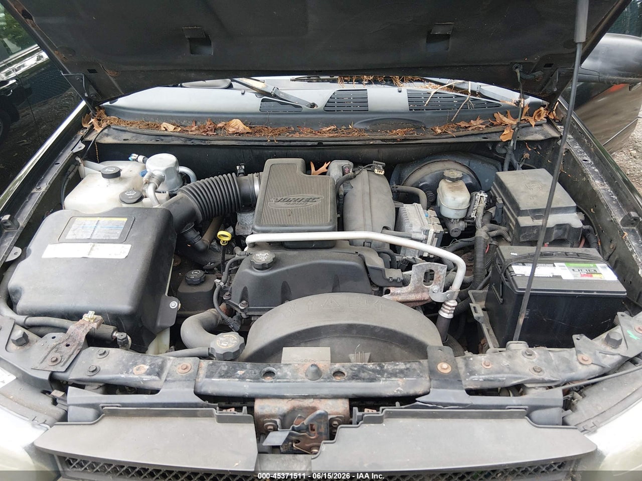 Image 10