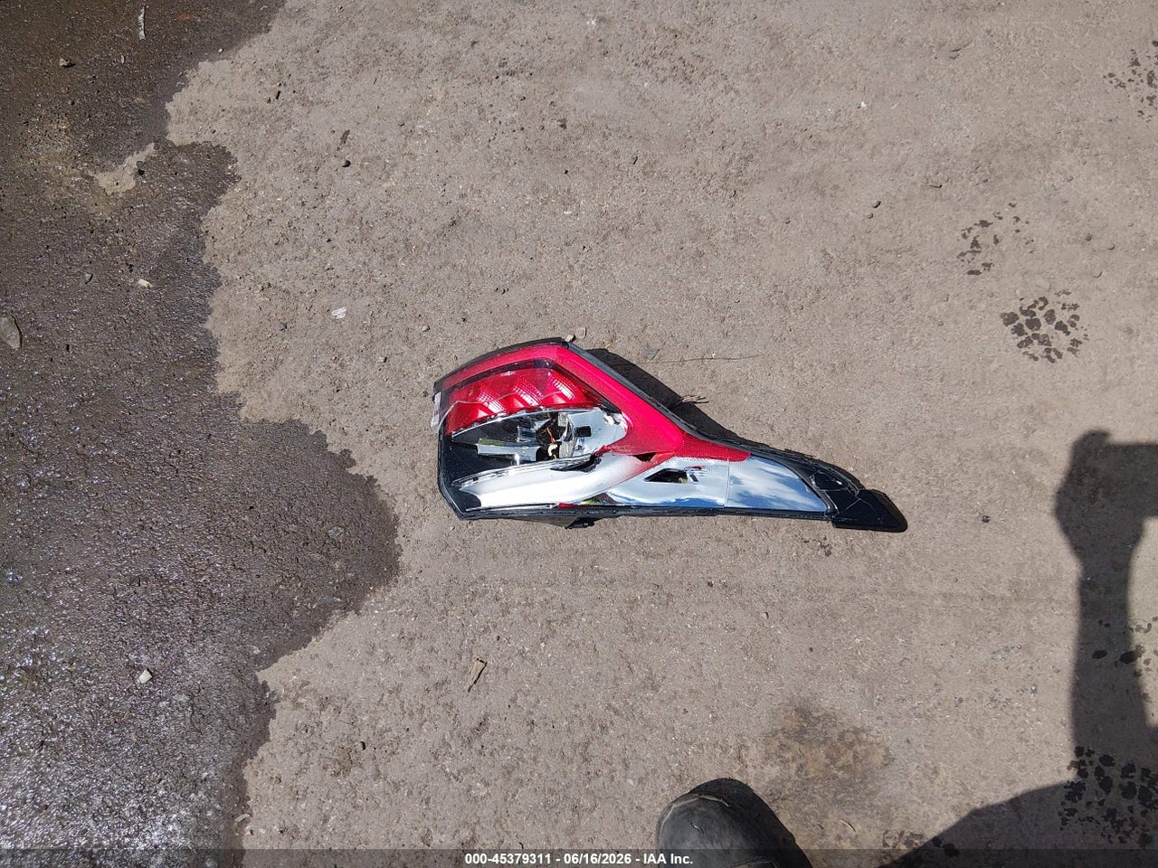 Image 12