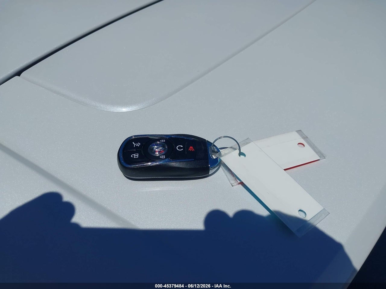 Image 11