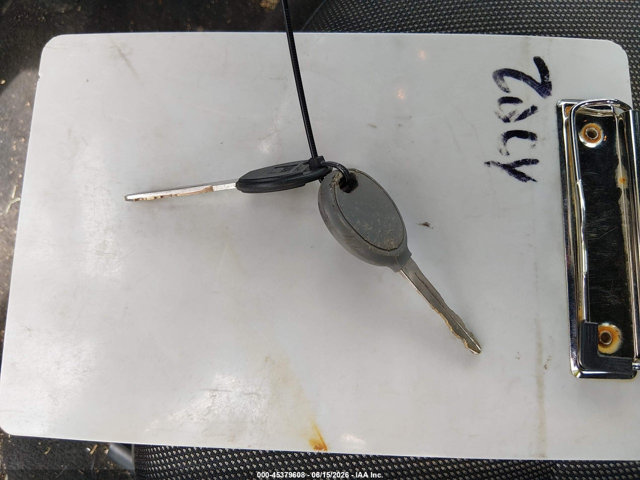 Image 11