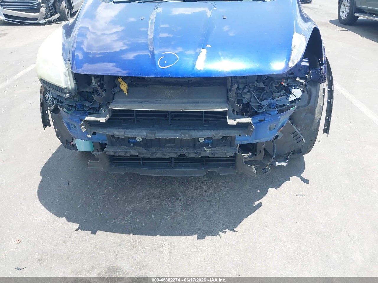 Image 6