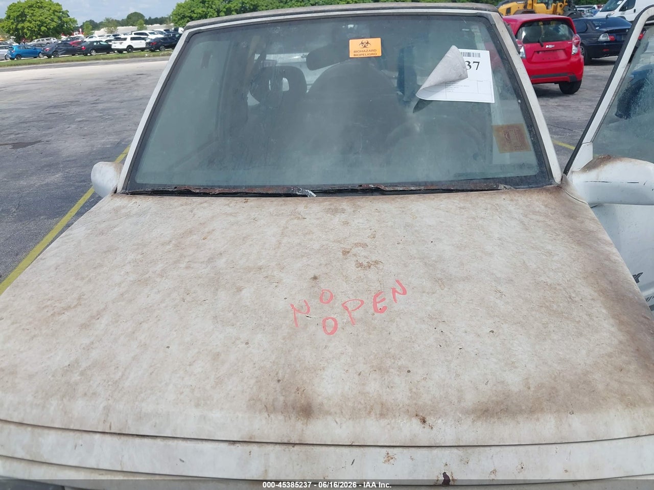 Image 10