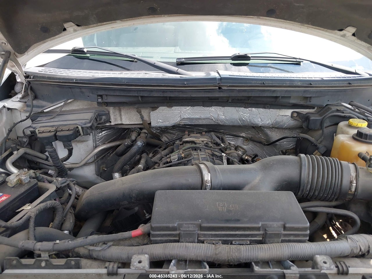 Image 6
