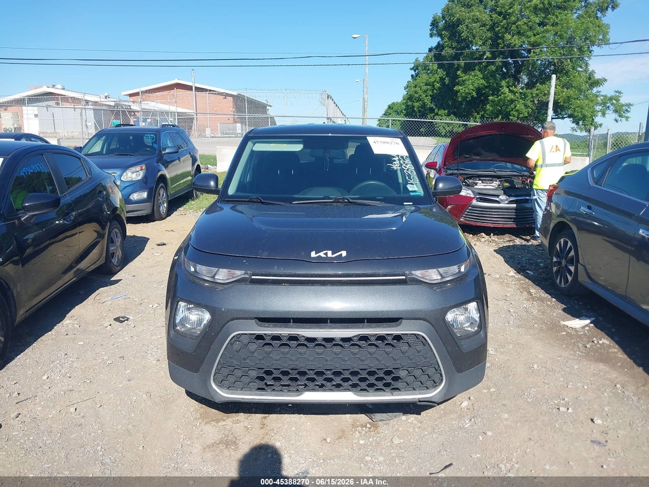 Image 6