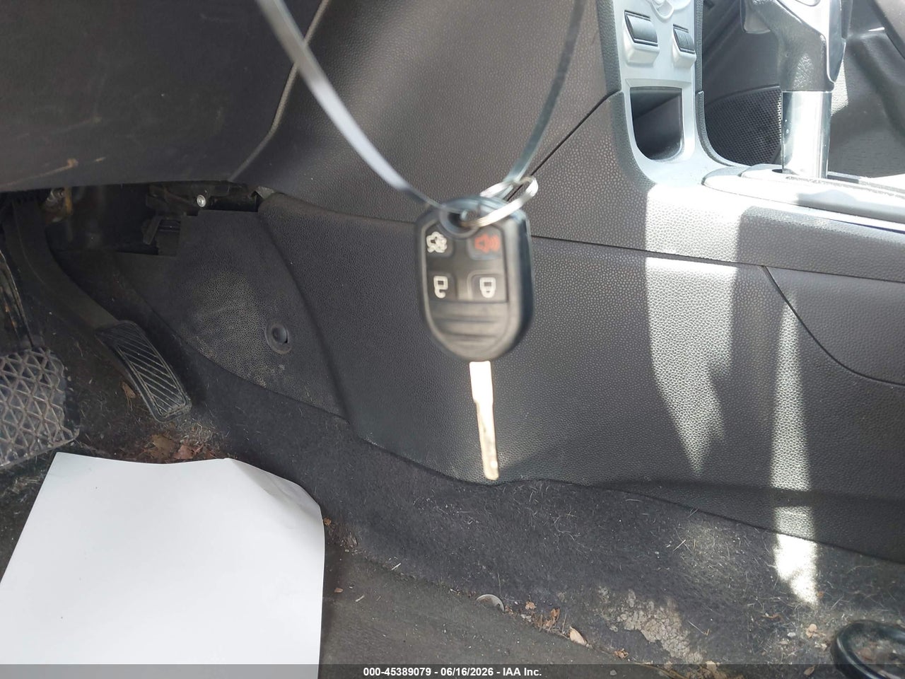 Image 11