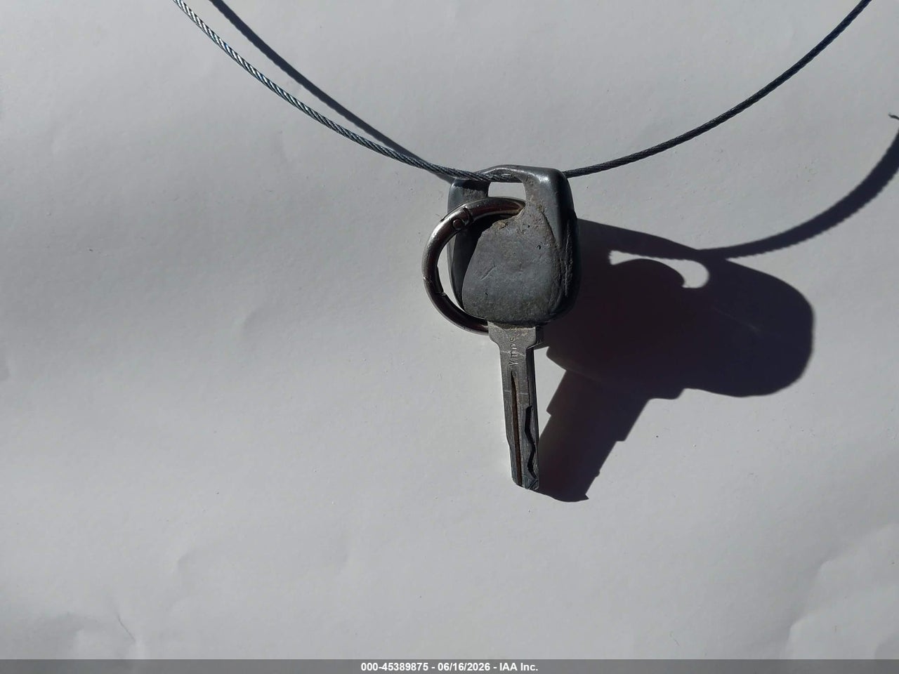 Image 11