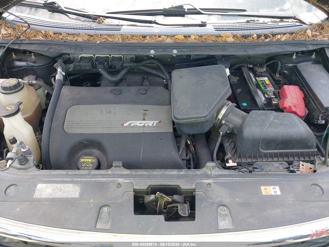 Image 10