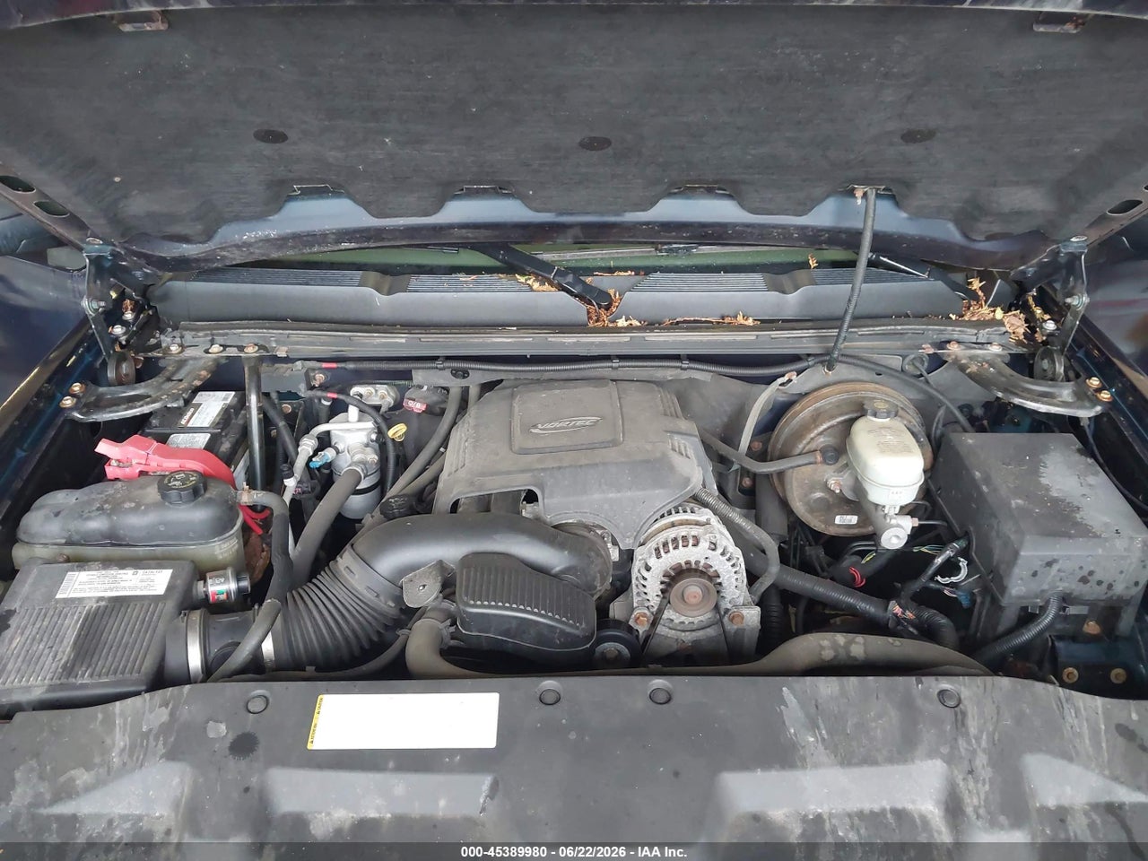 Image 10