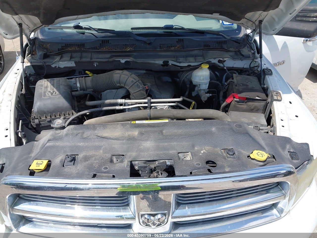 Image 10